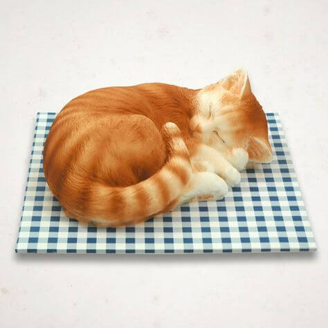 торт котенок